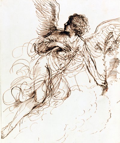 Study of an Angel by Guercino