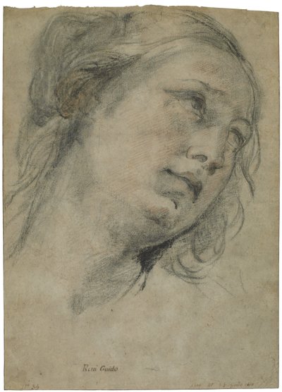 The Head of a Young Woman Looking Upward by Guido Reni