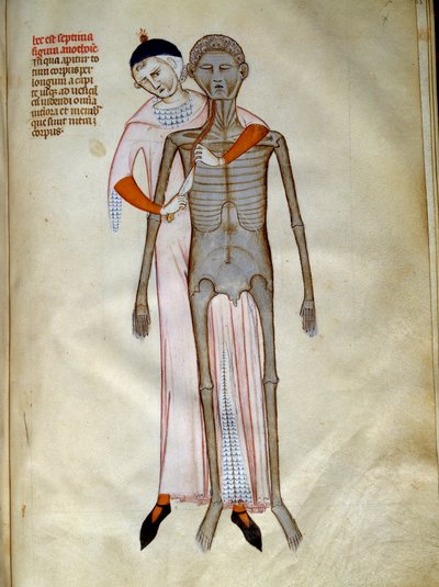Surgery: Dissection of the Thorax by Guido da Vigevano da Pavia