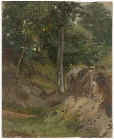 Dry Stream in the Forest by Guillaume Anne van der Brugghen