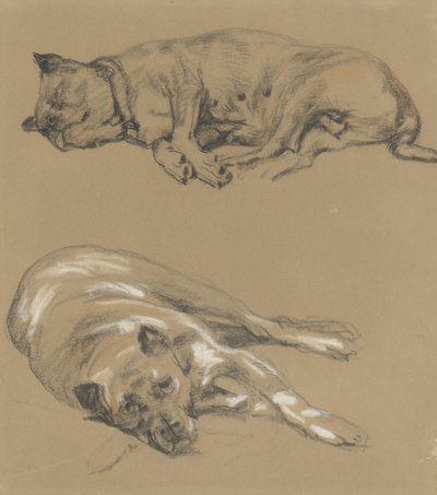 Two Studies of a Lying Dog by Guillaume Anne van der Brugghen
