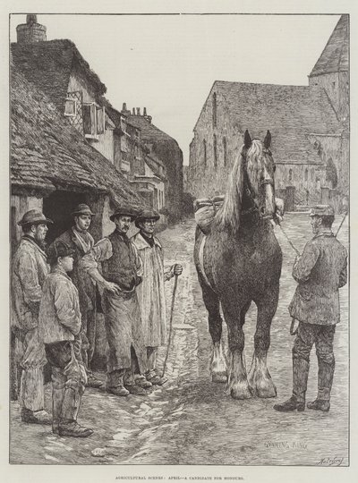 Agricultural Scenes, April, a Candidate for Honours by Gunning King