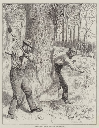 Agricultural Scenes, May, the Bark Harvest by Gunning King