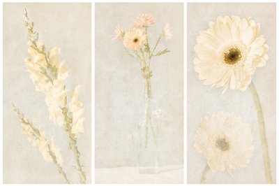 Faded Floral Triptych by Gustav Davidsson