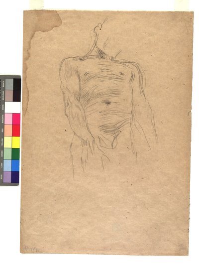Male Torso by Gustav Klimt