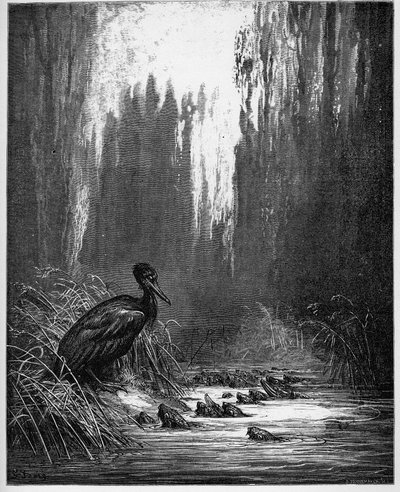 Fish and Cormorant from 