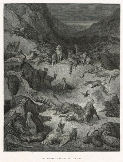 The Animals Sick of the Plague by Gustave Dore