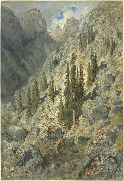 An Alpine Valley with Trees and Boulders by Gustave Dore