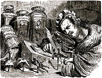 Cartoon by Honore de Balzac by Gustave Dore for the Tales Drolatiques (1855): the writer is croque as an entomologist studying human beings like insects in his cabinet filled with entomology and dissection drafts as well as jars w by Gustave Dore