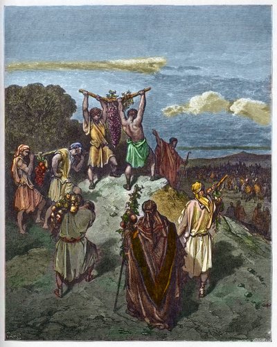 Return from the land of Canaan - The return of Joshua and Caleb with a huge bunch of grapes from the land of Canaan (engraving in The Bible illustrated by Gustave Dore) by Gustave Dore