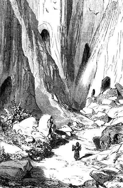 Sindbad the sailor (Sinbad) - tale of the thousand and one (1001) nights - illustration by Gustave Dore - edition Maxwell 1865 - Second voyage: Sindbat discovers a valley with diamonds, but which is unfortunately occupied by giant snakes. He will take refu by Gustave Dore