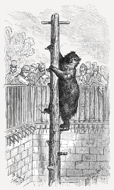 The Bear Pit - Zoological Gardens by Gustave Dore