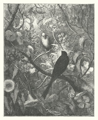 The Fables of La Fontaine: Philomel and Progne by Gustave Dore