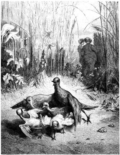 The Lark and Its Young with the Master of a Field: Fable by Jean de la Fontaine Illustrated by Gustave Dore by Gustave Dore