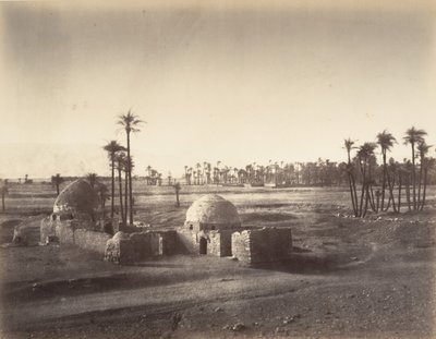 View of the Plain of Thebes taken from the Temple of Karnak, 1867 by Gustave Le Gray