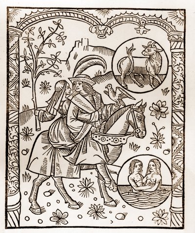 Shepherd