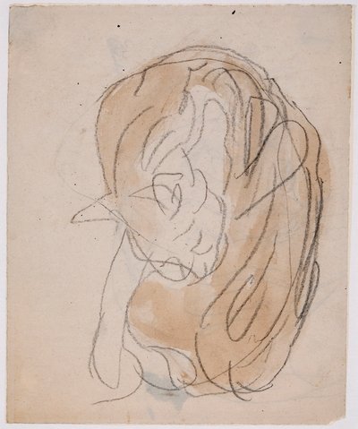 Cat Studies by Gwen John