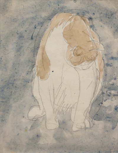 Study of a Cat, c. 1910-20 by Gwen John