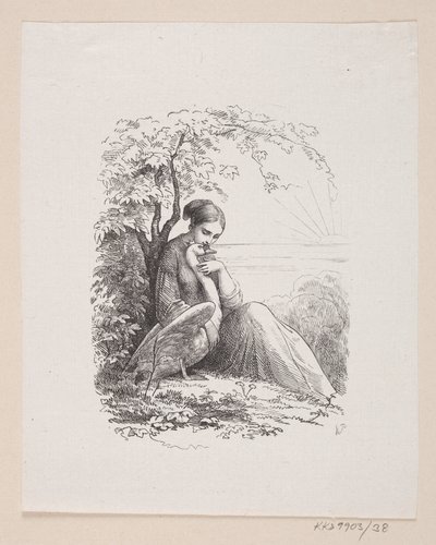 Illustration for 