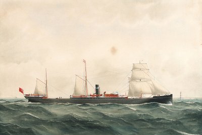 Steam Ship 