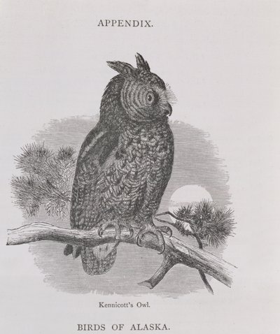 Kennicott