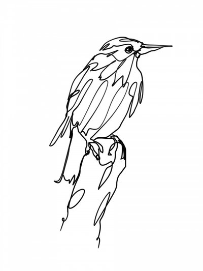 Abstract Bird Line Art by Hanna Lee Tidd