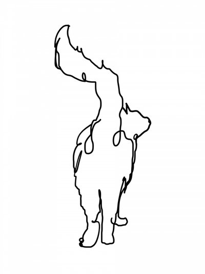 Curious Cat Line Art by Hanna Lee Tidd