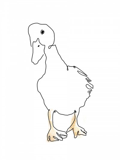 Sweet Duckling Line Art by Hanna Lee Tidd