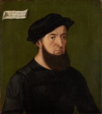 Male Portrait by Hans Brosamer