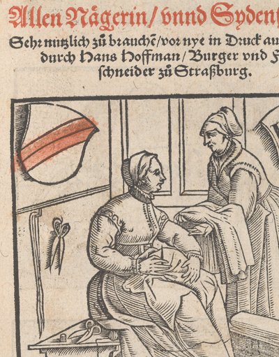 New Modelbuch allen Nägerin u. Sydenstickern Title Page, 1r, 1556 by Hans Hoffman