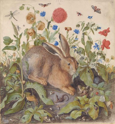 A Hare Among Plants by Hans Hoffmann