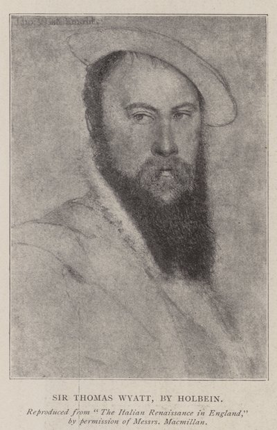 Sir Thomas Wyatt by Hans Holbein der Jüngere