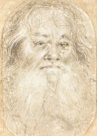Study of a Bearded Man by Hans Holbein the Elder