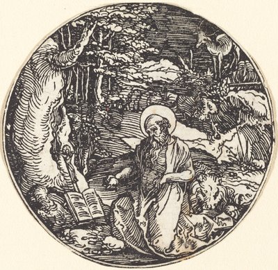 Saint Jerome in Penitence by Hans Springinklee