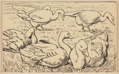 Drawing for the Primer: Goose by Hans Thoma