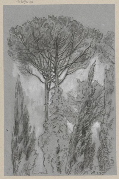Trees in Florence by Hans Thoma