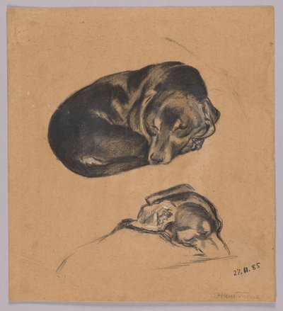 Two Studies of a Sleeping Dachshund by Hans Thoma