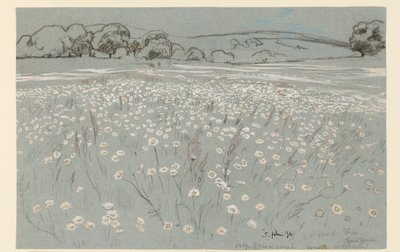 Meadow with Daisies by Hans Thoma