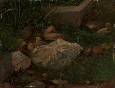 Stones in the Grass by Hans Thoma