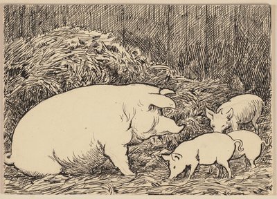 Drawing for the Primer: Pig by Hans Thoma