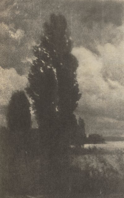 Camera Work: Poplars and Clouds by Hans Watzek