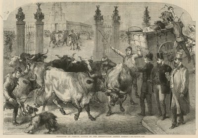 Inspection of Foreign Cattle at the Metropolitan Cattle Market by Harden Sidney (after) Melville
