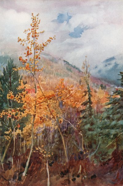 On a Mountain Side Near Nelson, British Columbia by Harold Copping
