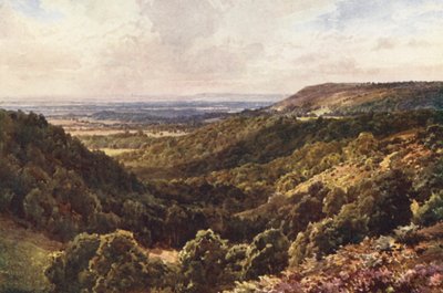 From the Hills Above Peaslake, Near Gomshall by Harold Sutton Palmer
