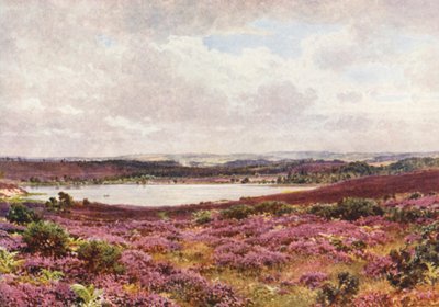 The Great Pond, Frensham by Harold Sutton Palmer