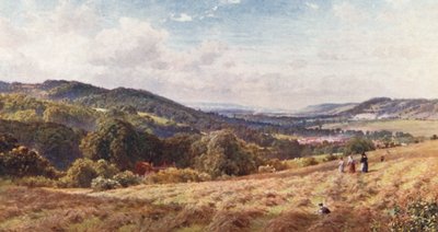The Vale of Dorking by Harold Sutton Palmer
