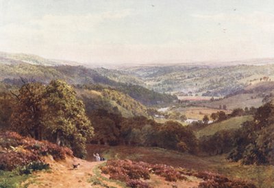 Vale of Albury, from St Martha