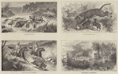 India and the Prince of Wales by Harrington Bird