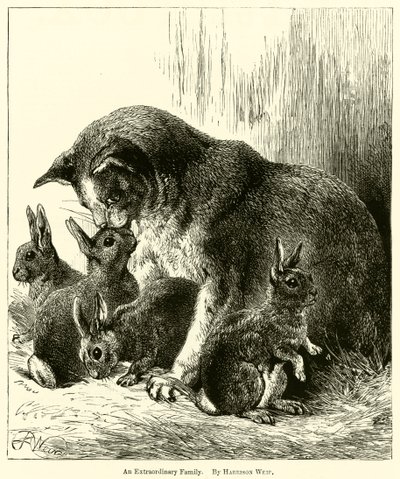An Extraordinary Family by Harrison William Weir