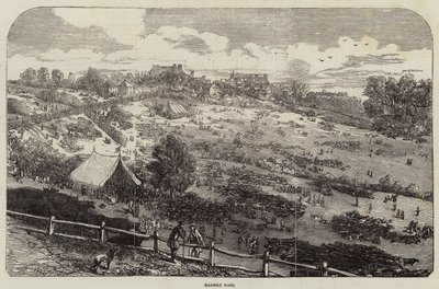 Barnet Fair by Harrison William Weir